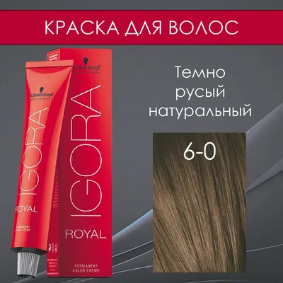 Schwarzkopf Professional Русая краска для волос Igora Royal 6-0 темно-русый  натуральный 60 мл / Игора Роял 6-0 - купить с доставкой по выгодным ценам в  интернет-магазине OZON (287486389)