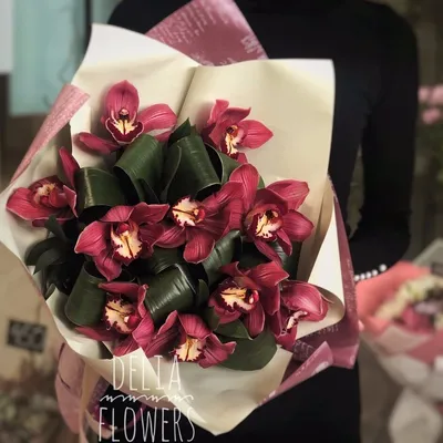 Орхидея Фаленопсис красная | купить на FlowersLand.by
