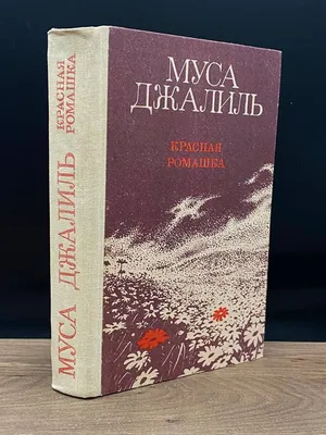 Ромашка красная , крупная, многолетняя, высокая-0,7м. — купить в  Красноярске. Состояние: Новое. Всё для ландшафта на интернет-аукционе Au.ru
