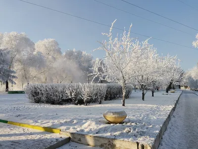 Климатологи предсказали 55-градусные морозы в Красноярском крае предстоящей  зимой — Новости Красноярска на 7 канале