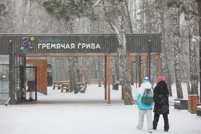 Синоптики сообщили о приходе на этой неделе в Красноярск зимы — ИА  «Пресс-Лайн»