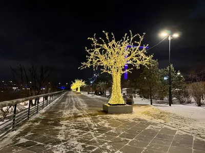 В Красноярск пришел 40-градусный мороз. А за городом уже –44 | Проспект  Мира | Дзен