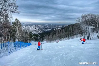 Этой зимой в Красноярске установят 35 световых деревьев