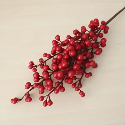 Красная кислица, смородина, ягоды …» — создано в Шедевруме