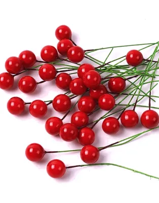 Красная Ягода с витаминами и лютеином - Red Berry.