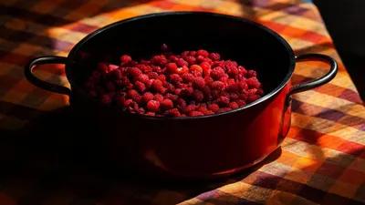 Красные ягоды для букетов (ID#1552734165), цена: 11.90 ₴, купить на Prom.ua