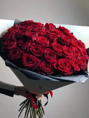Красные розы с крупным бутоном 51 шт - купить с доставкой от ElitBuket