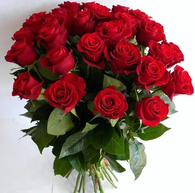 1️⃣ 35 красных роз – заказать с доставкой в Алматы от PRO-BUKET!