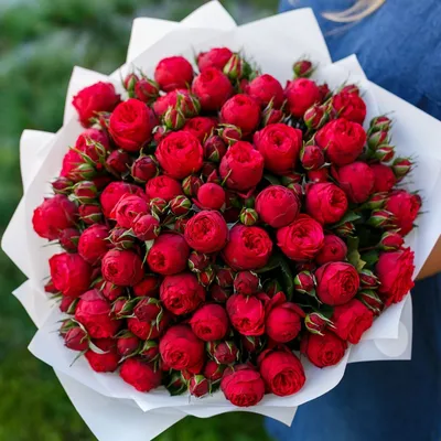 25 красные розы 90 см в оформлении с доставкой по Алмате — Cvety.kz