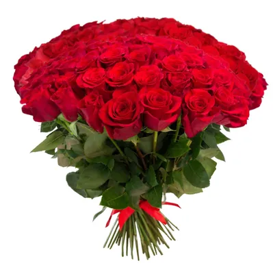 К чему дарят красные розы: символика, приметы и значение | Статьи