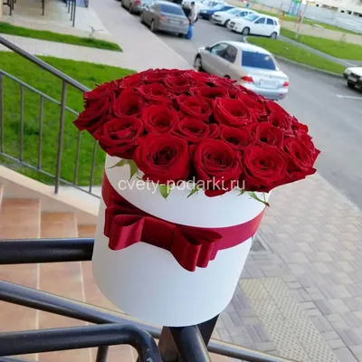 Красные розы в красной шляпной коробке (29шт) за 4290р. Позиция № 517
