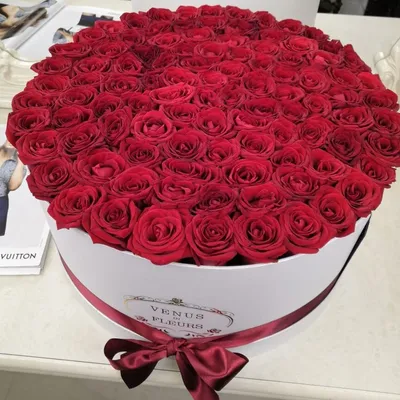Купить 21 красная роза в коробке с эвкалиптом №801