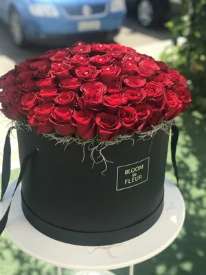 Красные розы в черной коробке доставка в Саратове | Роза64