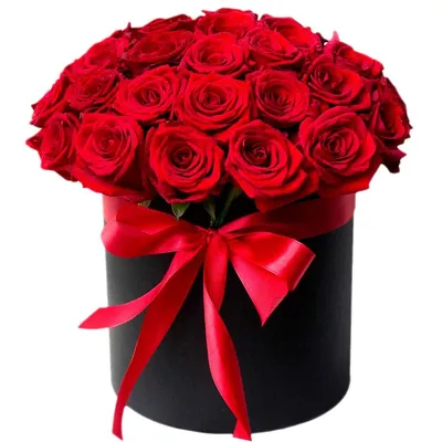 1️⃣ 25 красных роз в коробке – купить в Алматы по лучшей цене