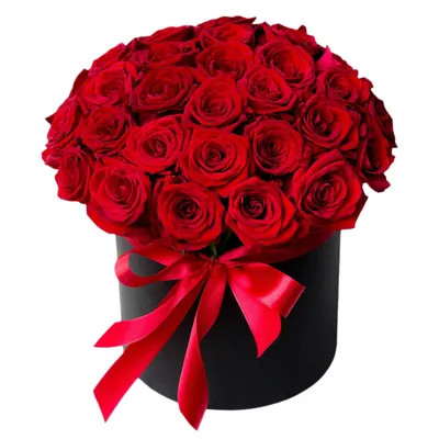 25 красных роз в черной коробке - Доставкой цветов в Москве! 8573 товаров!  Цены от 487 руб. Цветы Тут