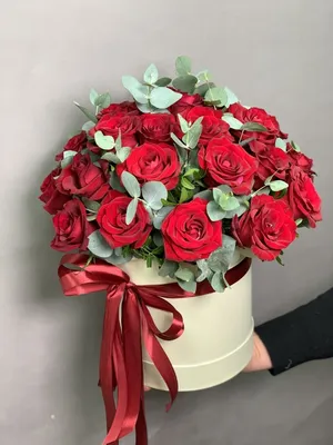 Красные эквадорские розы в красной шляпной коробке
