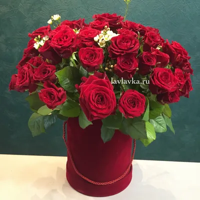 17 роз в шляпной коробке доставка в Красноярске | ФлоРум24