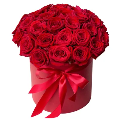 Цветы в шляпных коробках : Красные розы в белой коробке