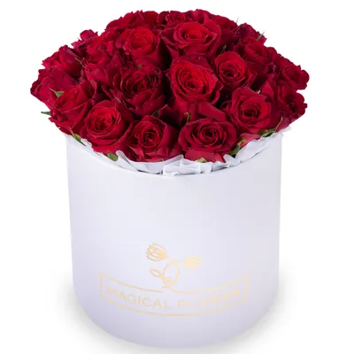 Доставка Цветов в Тбилиси | Красные Розы в Чёрной Коробке