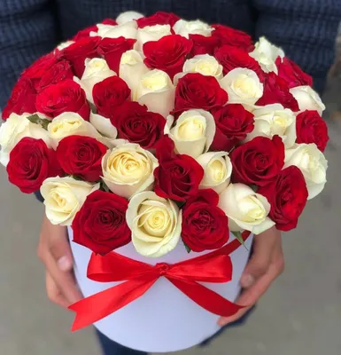 Черно-красные розы в коробке - 19 шт. за 6 590 руб. | Бесплатная доставка  цветов по Москве