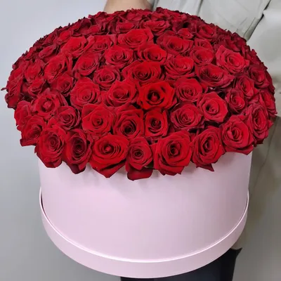 Красные розы в коробке | Maison des Fleurs