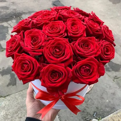 Красные французские розы в коробке L