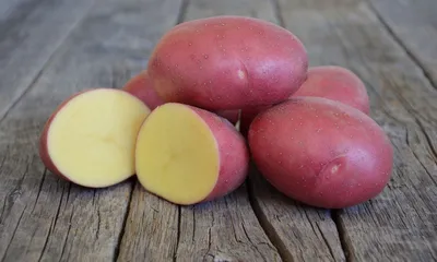 Сорта красной (или розовой) картошки с фото и описанием просто