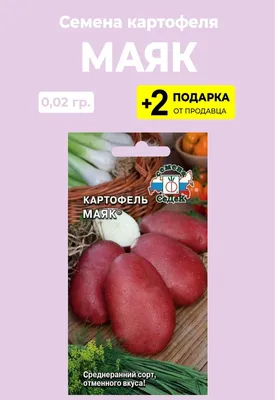Сорта красной (или розовой) картошки с фото и описанием просто