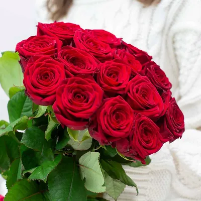 К чему дарят белые розы | Что означают розы красного белого цвета в подарок  - символ и приметы