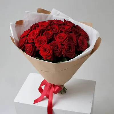 Красная роза — символ страсти, любви и красоты
