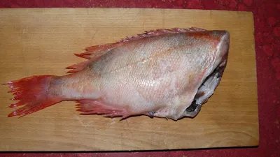 Рыба мороженый морской окунь - «Вкусная и полезная рыба которая подойдет на  каждый день и для праздника. Я ❤ Морской окунь.» | отзывы