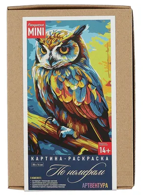 Картина на полотне Яркая красочная сова № s33551 в ART-holst.com.ua