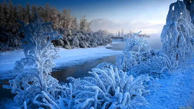 Красота зимы фото фотографии