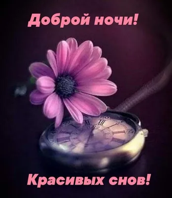 Доброй ночи картинки красивые необычные (30 фото) скачать бесплатно