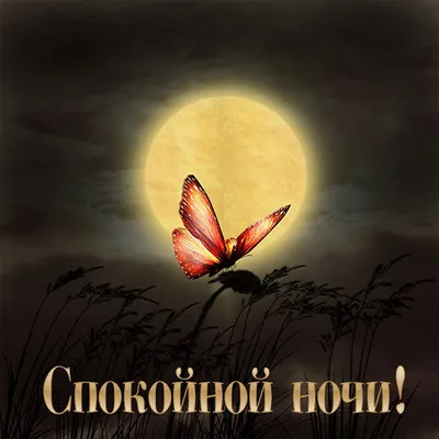 Необычные открытки на ночь