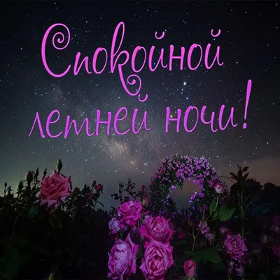 Доброй ночи | Ночь, Счастливые картинки, Спокойной ночи