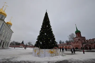 Главгосэкспертиза одобрила реставрацию двух корпусов Московского Кремля -  Недвижимость РИА Новости, 05.04.2019