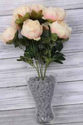 Кремовые пионы это букет из свежих срезанных цветов. KROKUS - лучший  интернет магазин, доставка цветов в Риге