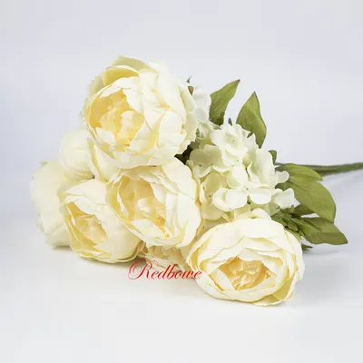 Купить Искусственные цветы \"Кремовые пионы\", букет из 13 веток по выгодной  цене в интернет-магазине OZON.ru (1168652155)