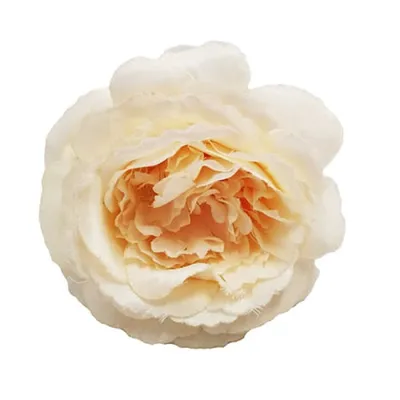 Кремовые молочные розы и пионы …» — создано в Шедевруме