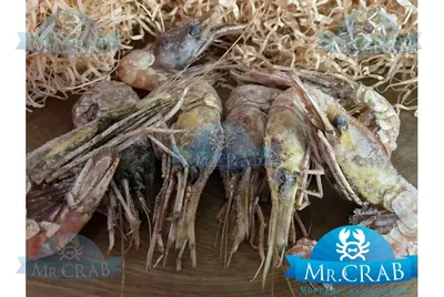 Креветка ботан средне-мелкий сырой, 1 кг | Интернет-магазин Mr. Crab