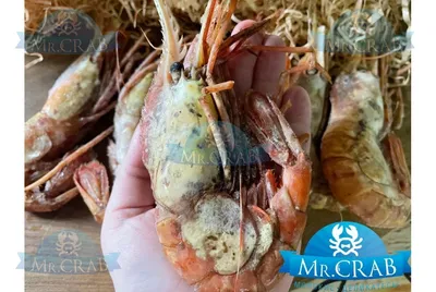 Креветка Ботан, 500 г – Икорный дом «Вкус моря» – Свежайшие морепродукты!