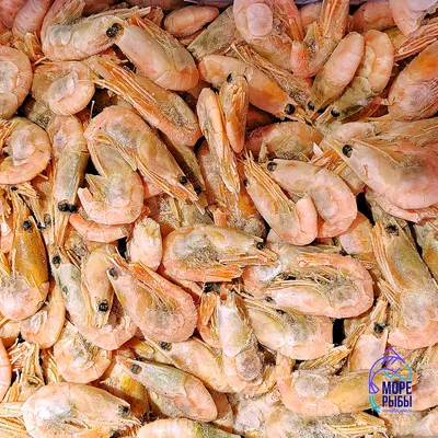 Креветки варено-мороженные Северные в панцире с головой 90/120, весовые  (кг) купить по выгодной цене в СПб