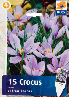 Шафран посевной луковицы 1 кг (Crocus sativus) шафрановый крокус осенний  семена морозостойкий для специи (ID#1475354909), цена: 999 ₴, купить на  Prom.ua