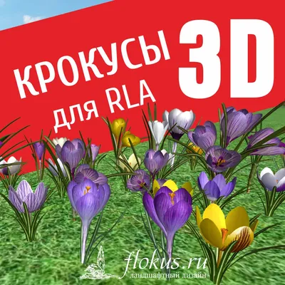 Крокус Триколор - великий пакет! - 200 шт - – Garden Seeds Market |  Безкоштовна доставка