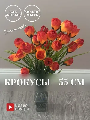 Крокусы смесь ( 20 луковиц)