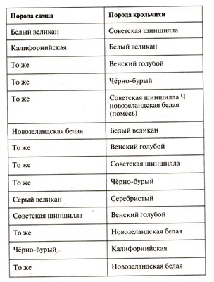 Бургундский кролик — Страница 2 — Племенные кролики из Европы