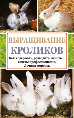 Кролики разных пород купить на Зозу.ру