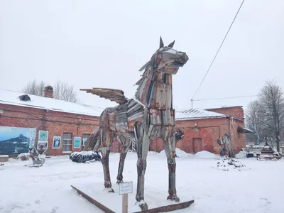 В Кронштадт с профессиональным краеведом — экскурсия в Санкт-Петербурге