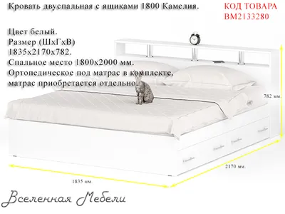 Купить Полуторная кровать \"Камелия\" без подьемного механизма 120*200 в  Киеве и Украине. По низкой цене от интернет-магазина Novelty